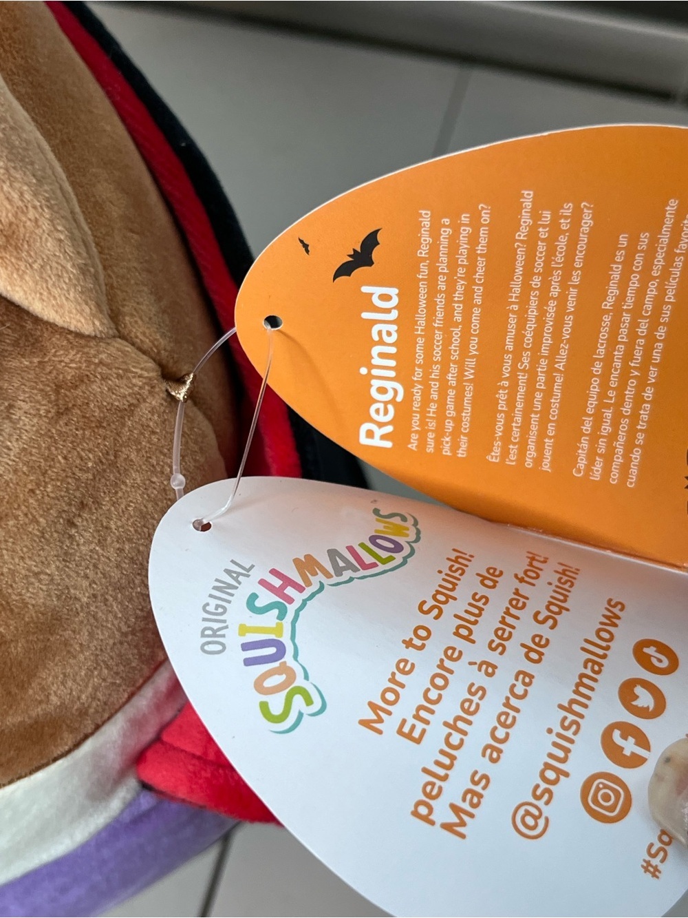 NWT Squishmallows Reginald the Vampire Corgi Treat Pail Soft Plush Bucket - Picture 10 of 14